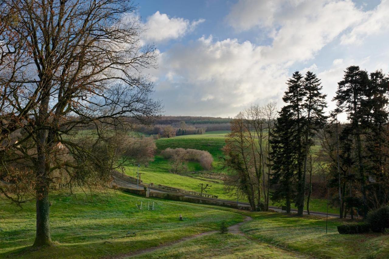 Domaine Des Myosotis, Chambres D'Hotes Saint-Honoré Εξωτερικό φωτογραφία